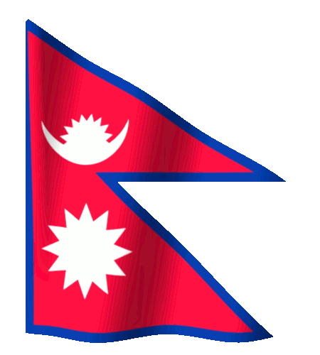 PCGG Training Management System waving flag